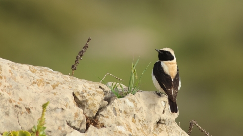 1000080991_b2d153f8c4d2f63717113cb983baa95d-27.3.2023, 20_31_01.jpg