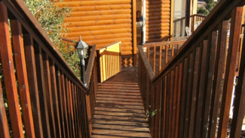 הצריף של תמרי