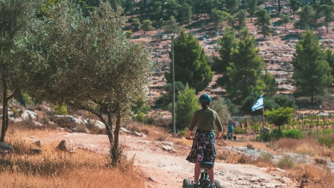 סיורי שטח יקב כביר