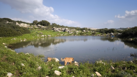מעמק להר - תיירות וטיילות בצפון השומרון