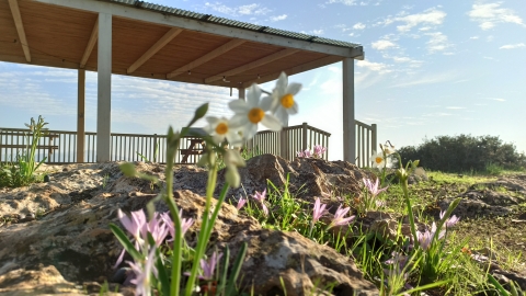 מעמק להר - תיירות וטיילות בצפון השומרון