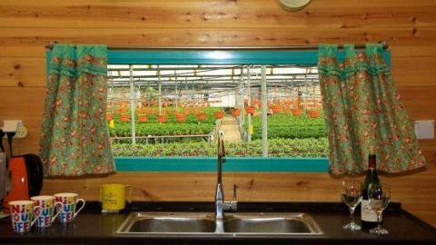 צימר בין הפרחים