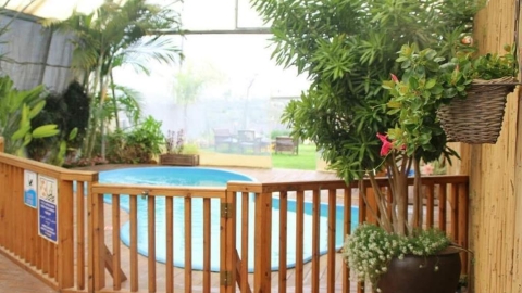 צימר בין הפרחים