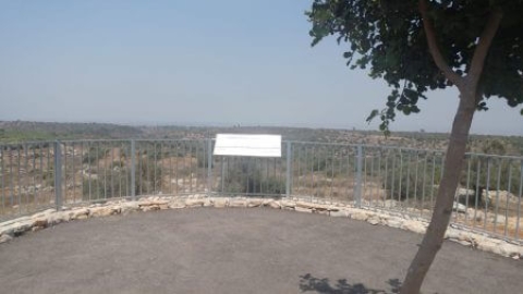 מצפה הדר- סלעית