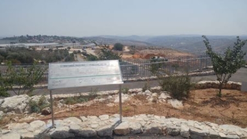 מצפה הדר- סלעית