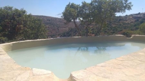 בריכות גידי