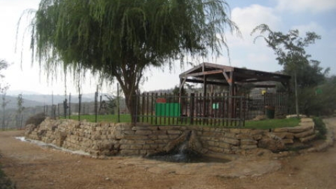 פארק הצנירים