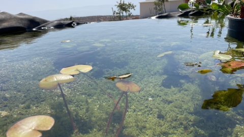 המעיין במגדלים