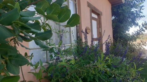 צימרים באיתמר