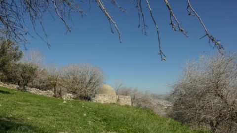 שמורת האלות אטלנטיות