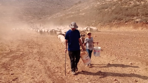 חוות השקדים