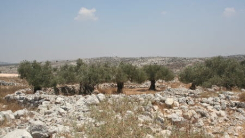 חרבת כורכוש