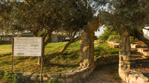 חוות גבעות עולם