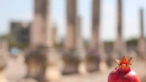 מרכז סיור ולימוד שומרון