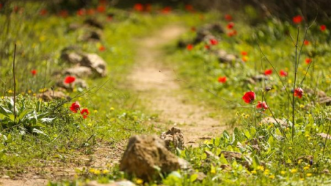 מרכז סיור ולימוד שומרון