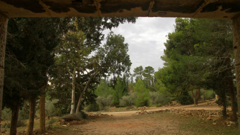 מרכז סיור ולימוד שומרון