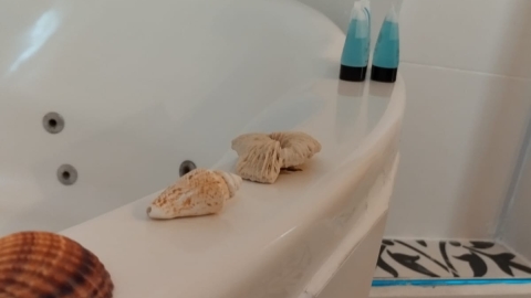 צימרבוס שומרון