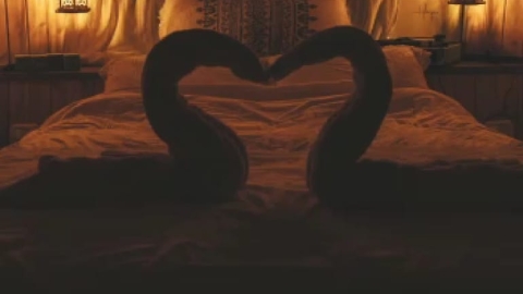 צימרבוס שומרון