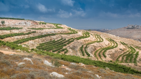 מרכז מבקרים-יקב הר ברכה