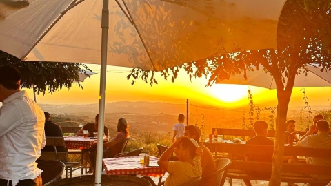 גן הבירה של נפתלי 