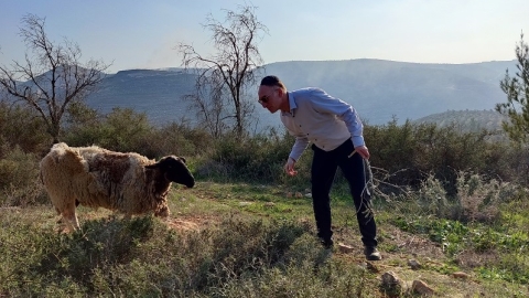 הנקודה הכפרית: סדנת גיבוש odt
