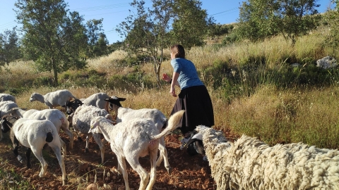 הנקודה הכפרית: סדנת גיבוש odt