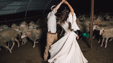 חוות אל נוה