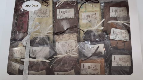 עינביז שוקולד וסדנאות שוקולד