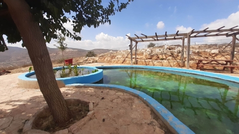 אירוס השומרון