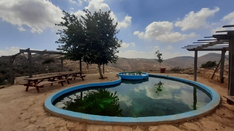 אירוס השומרון