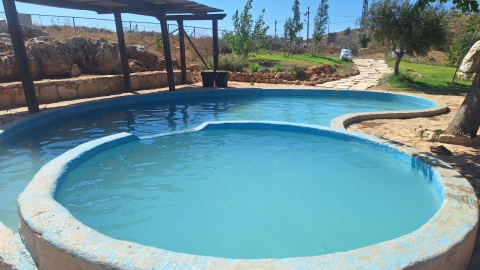 אירוס השומרון