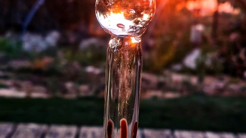 טוּטוּ טוֹסט