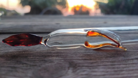 טוּטוּ טוֹסט