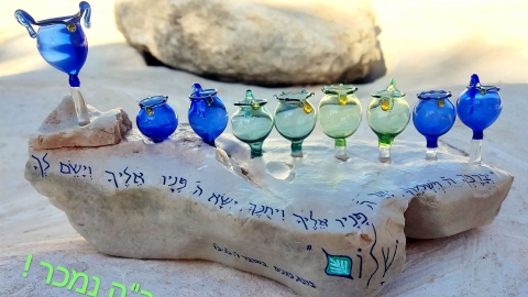 ‫שרון נוה‬‎