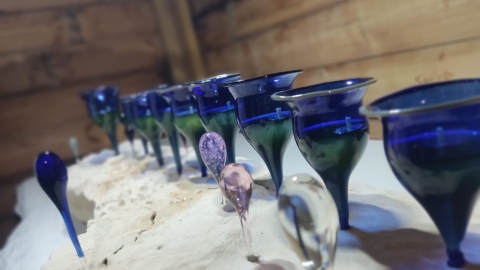 ‫שרון נוה‬‎