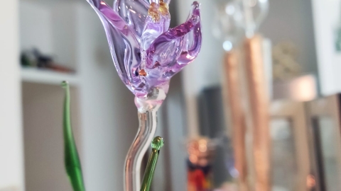 ‫שרון נוה‬‎