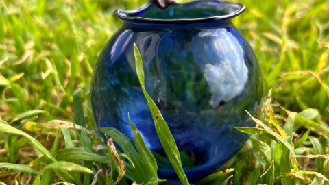 ‫שרון נוה‬‎