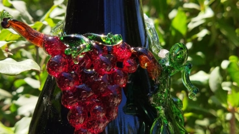 ‫שרון נוה‬‎