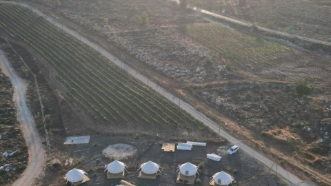 חאן בין הכרמים