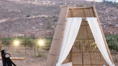 חאן בין הכרמים