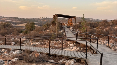 מצפה גולני- ברוכין