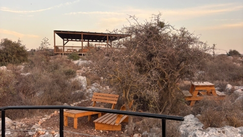 מצפה גולני- ברוכין