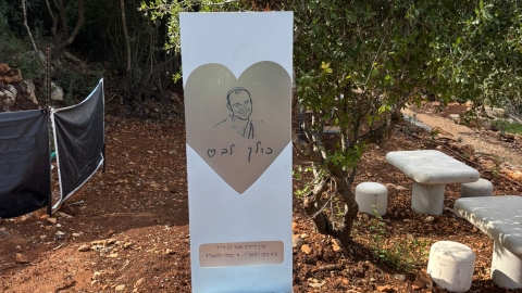 מעיין ידידיה ושביל הגבורה