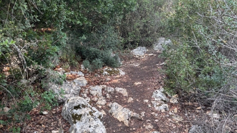 מעיין ידידיה ושביל הגבורה