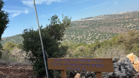 מעיין ידידיה ושביל הגבורה