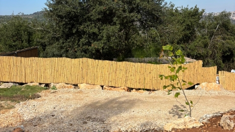 מעיין ידידיה ושביל הגבורה