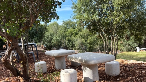 מעיין ידידיה ושביל הגבורה