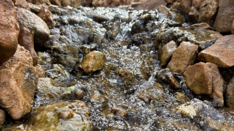 מעיין ידידיה ושביל הגבורה