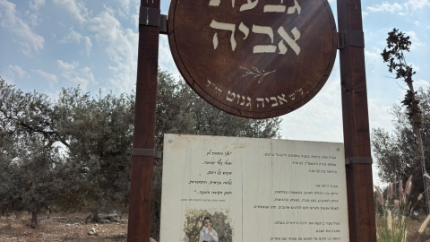 אביולה- מצפה אביה