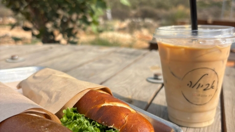 אביולה- מצפה אביה